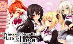 野良与皇女与流浪猫之心HD The Princess, the Stray Cat, and Matters of the Heart_0