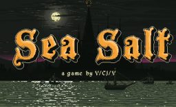 海盐 Sea Salt_0