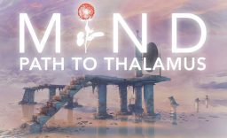 心智:视丘之径 MIND: Path to Thalamus_0
