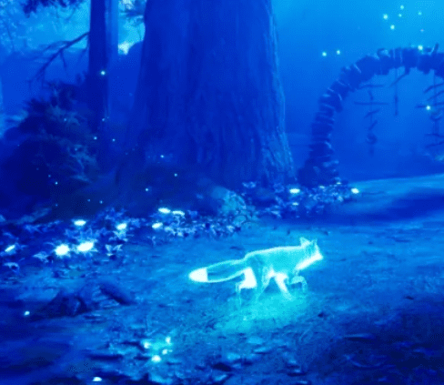 北方之灵 Spirit of the North_0