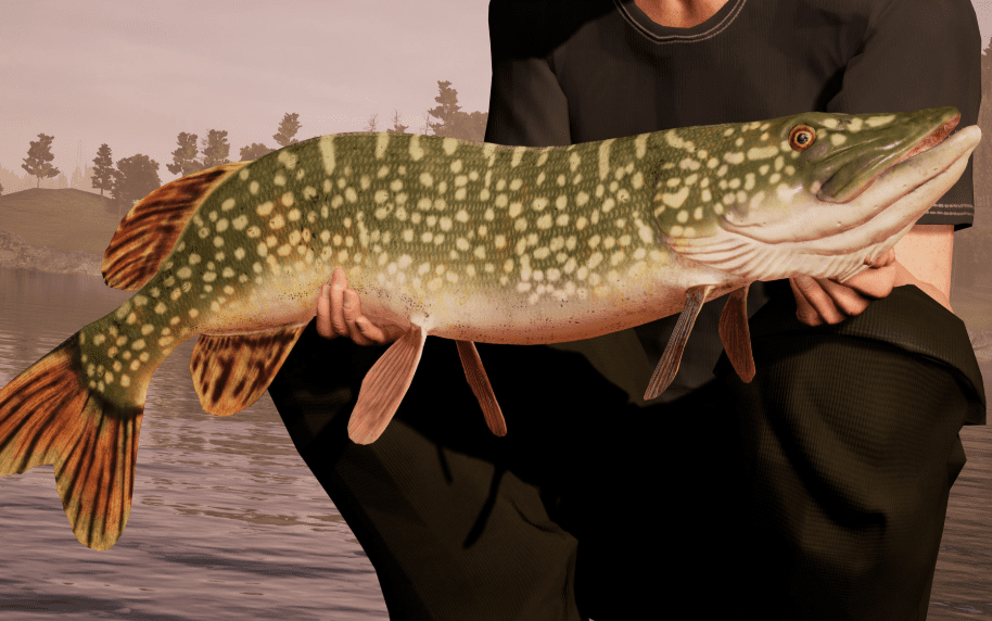 钓鱼模拟世界 Fishing Sim World_0