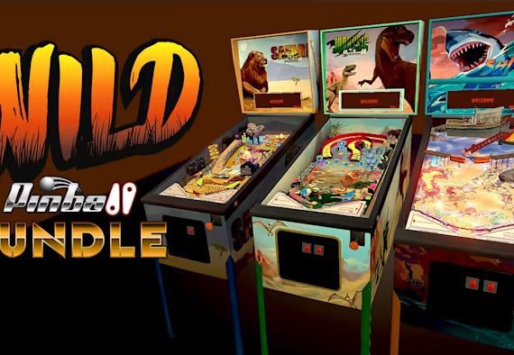 狂野弹子球捆绑包 Wild Pinball Bundle_0