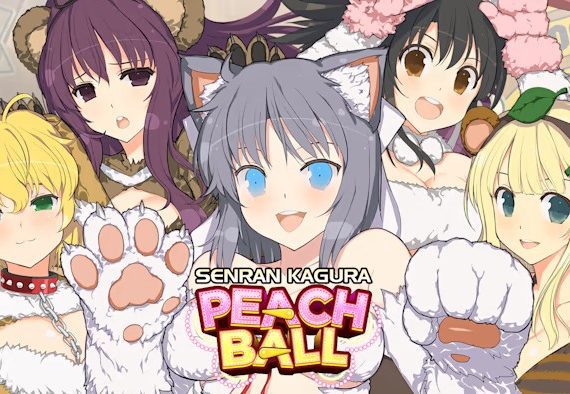 switch《闪乱神乐忍纾压+闪乱神乐桃色弹球+闪乱忍忍忍者大战战机少女》中文版合集下载_0