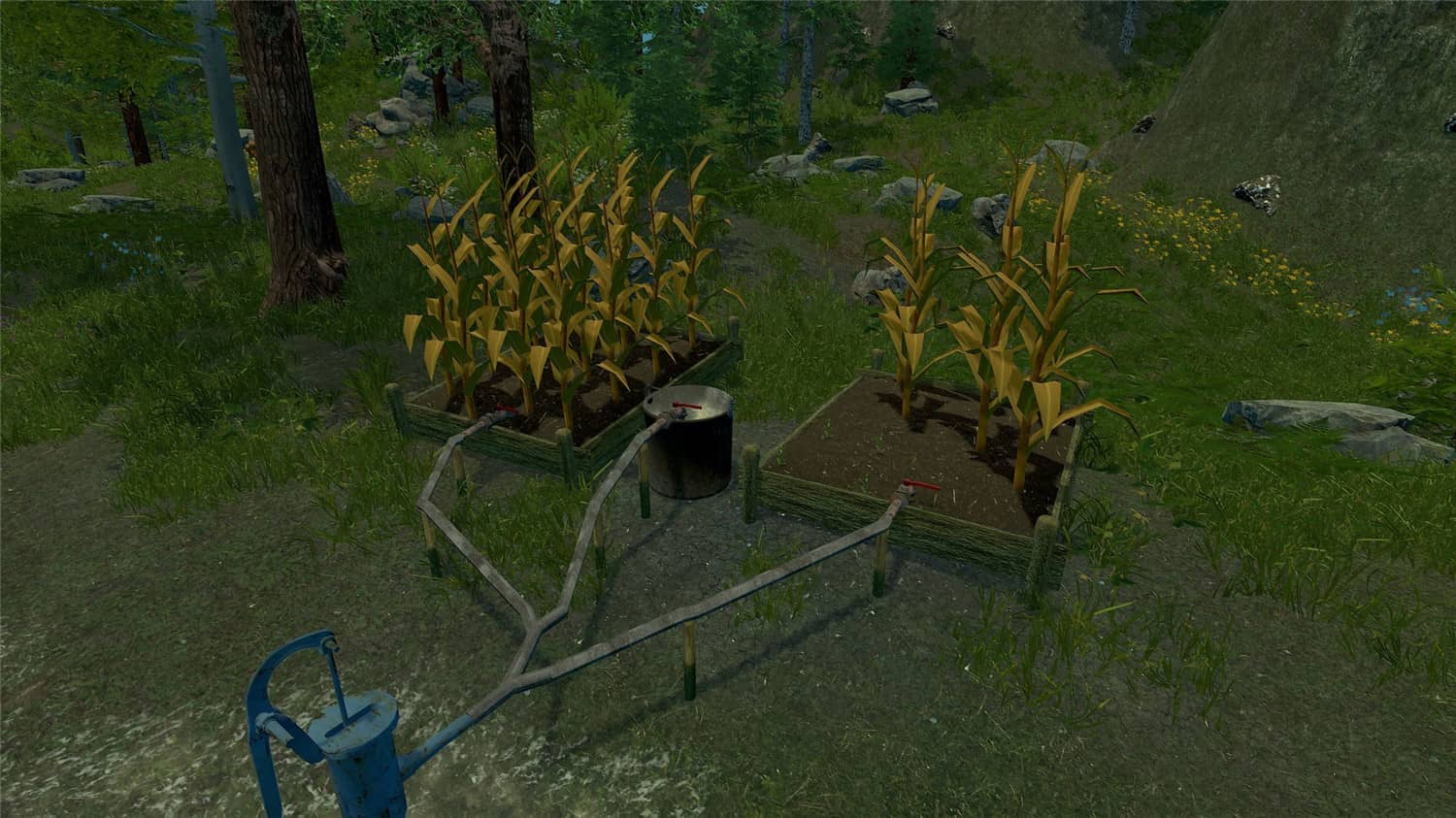 荒野的试炼 Trials of Wilderness_1