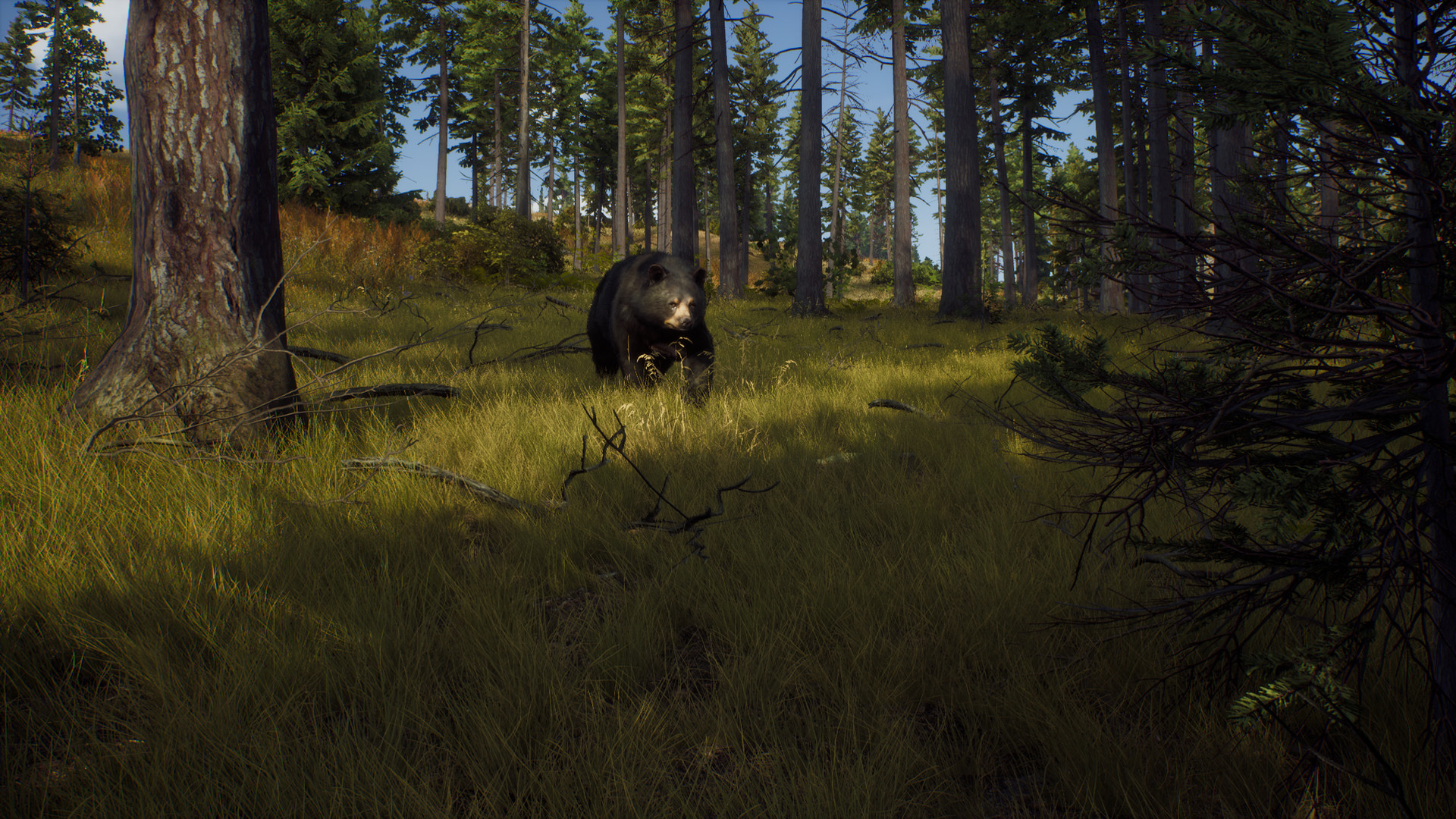 猎人之路 精英版 Way of the Hunter: Elite Edition_1