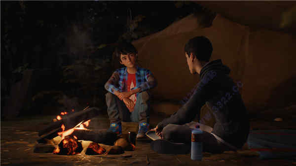 switch《奇异人生2 Life is Strange 2》中文版金手指下载_0