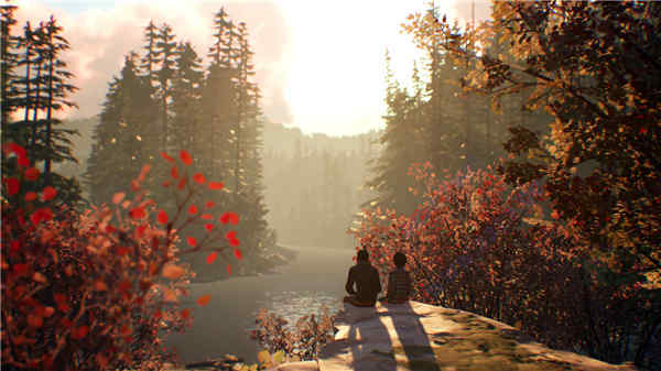 switch《奇异人生2 Life is Strange 2》中文版金手指下载_1