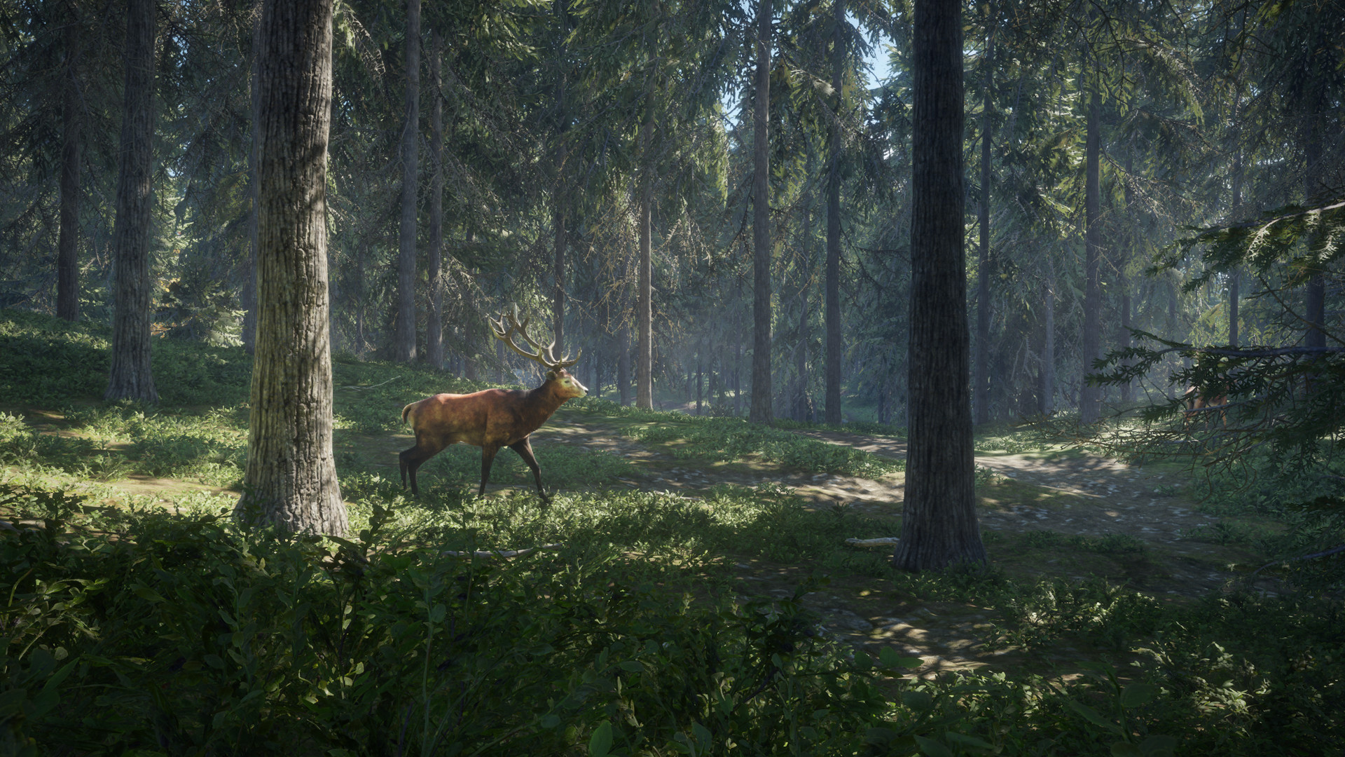 猎人：野性的呼唤 theHunter: Call of the Wild_2