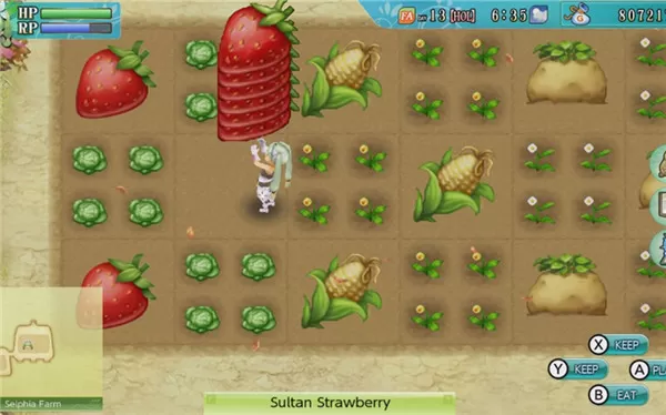 switch《符文工房4 特别版》v1.0.2金手指下载_0