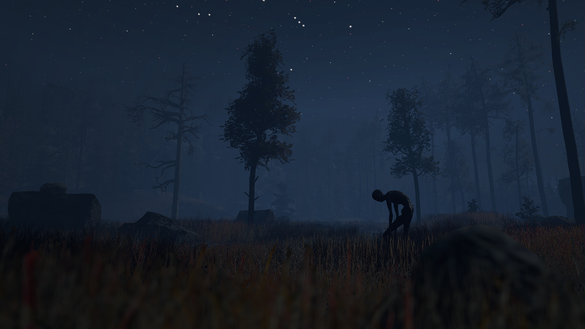 穿越林间.Through the Woods_0