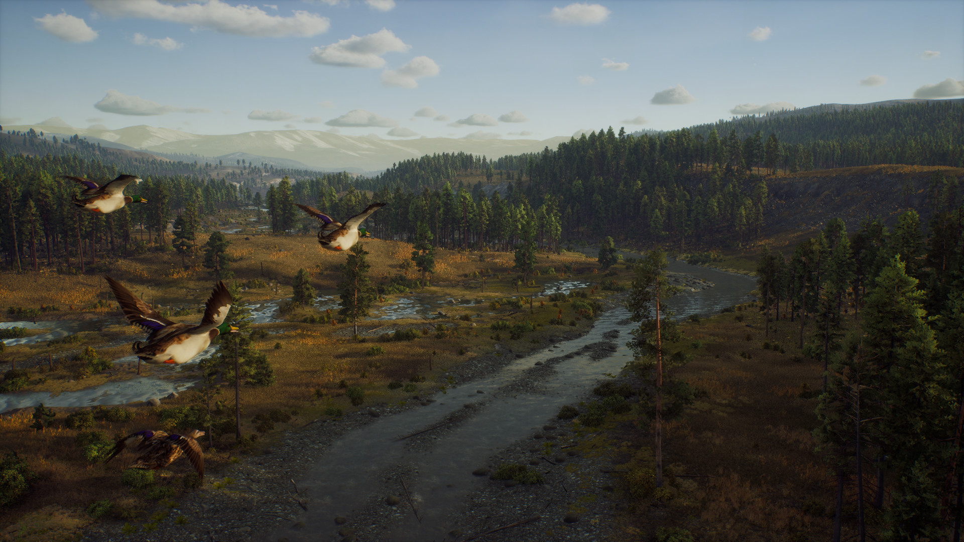 猎人之路 精英版 Way of the Hunter_2