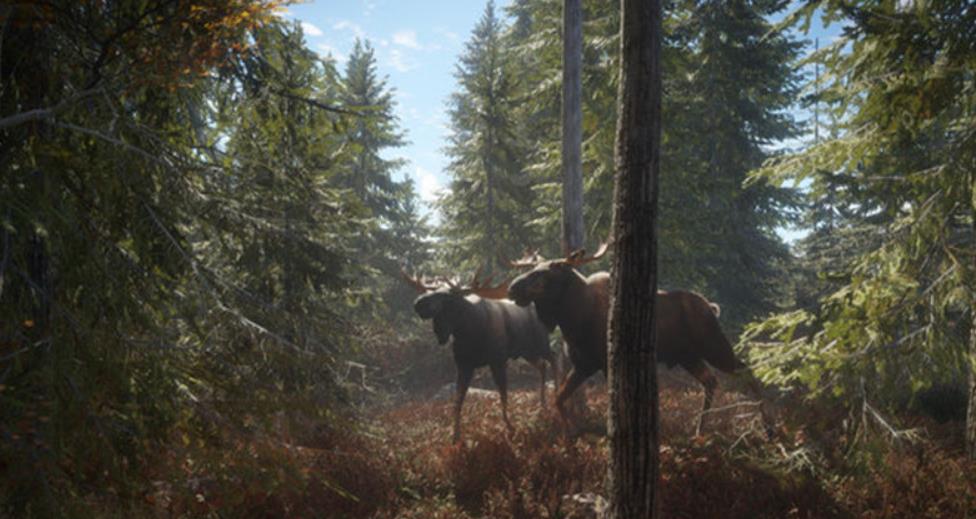 PS4《猎人荒野的召唤 – 完整版.theHunter: Call of the Wild Complete Collection》中文版下载【1.93补丁+49DLC】_0