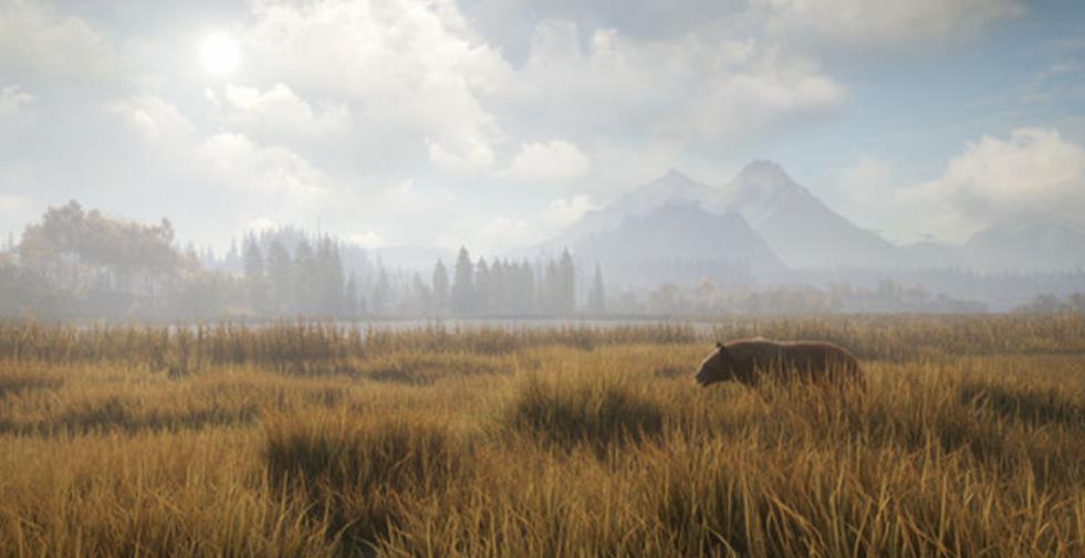 PS4《猎人荒野的召唤 – 完整版.theHunter: Call of the Wild Complete Collection》中文版下载【1.93补丁+49DLC】_1