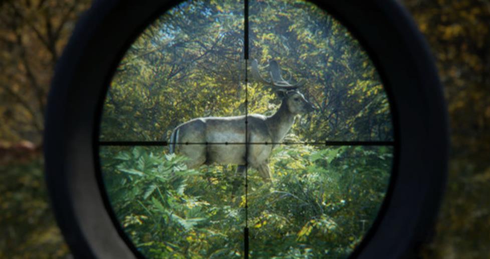 PS4《猎人荒野的召唤 – 完整版.theHunter: Call of the Wild Complete Collection》中文版下载【1.93补丁+49DLC】_2