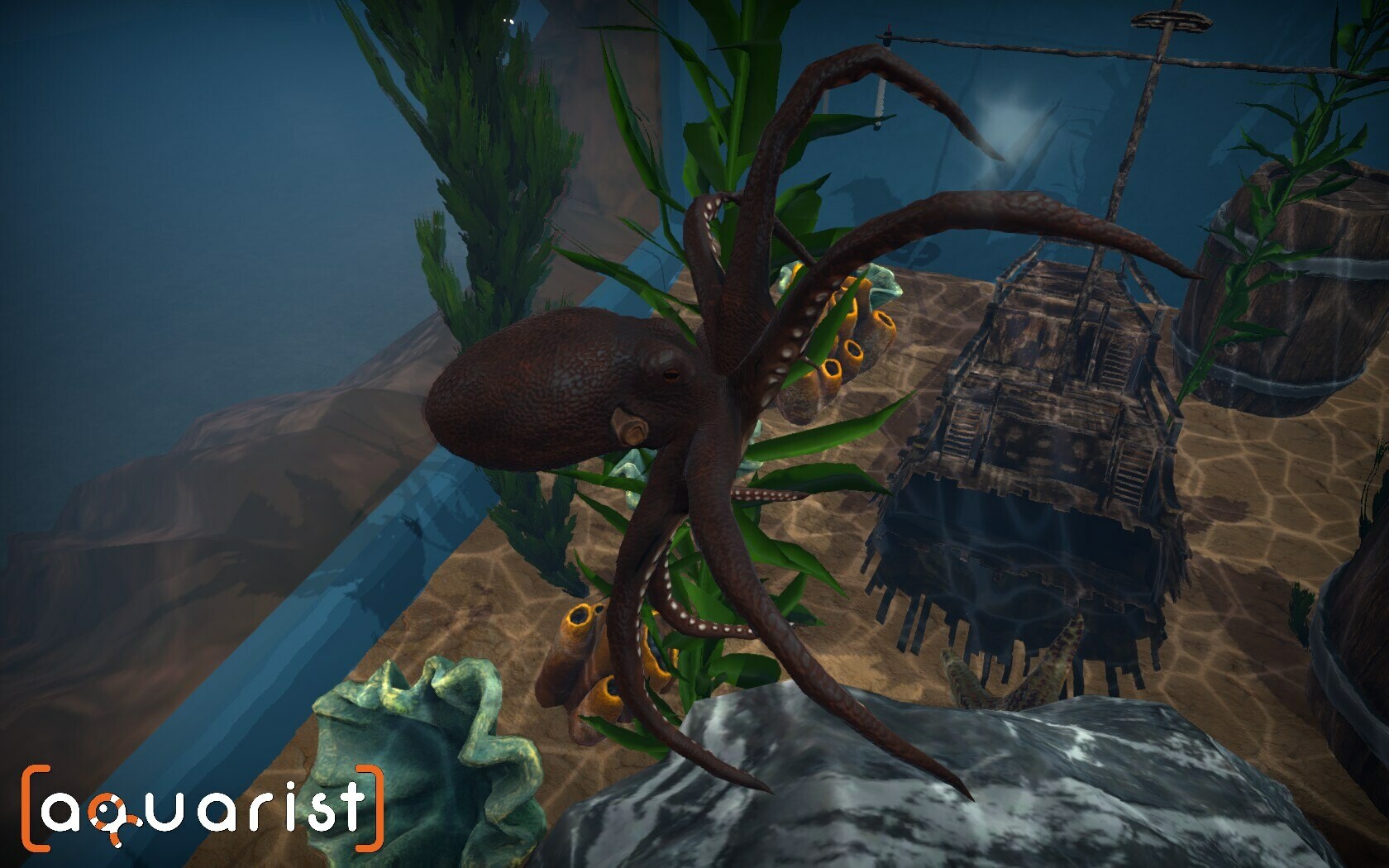 水族馆 Aquarist_1