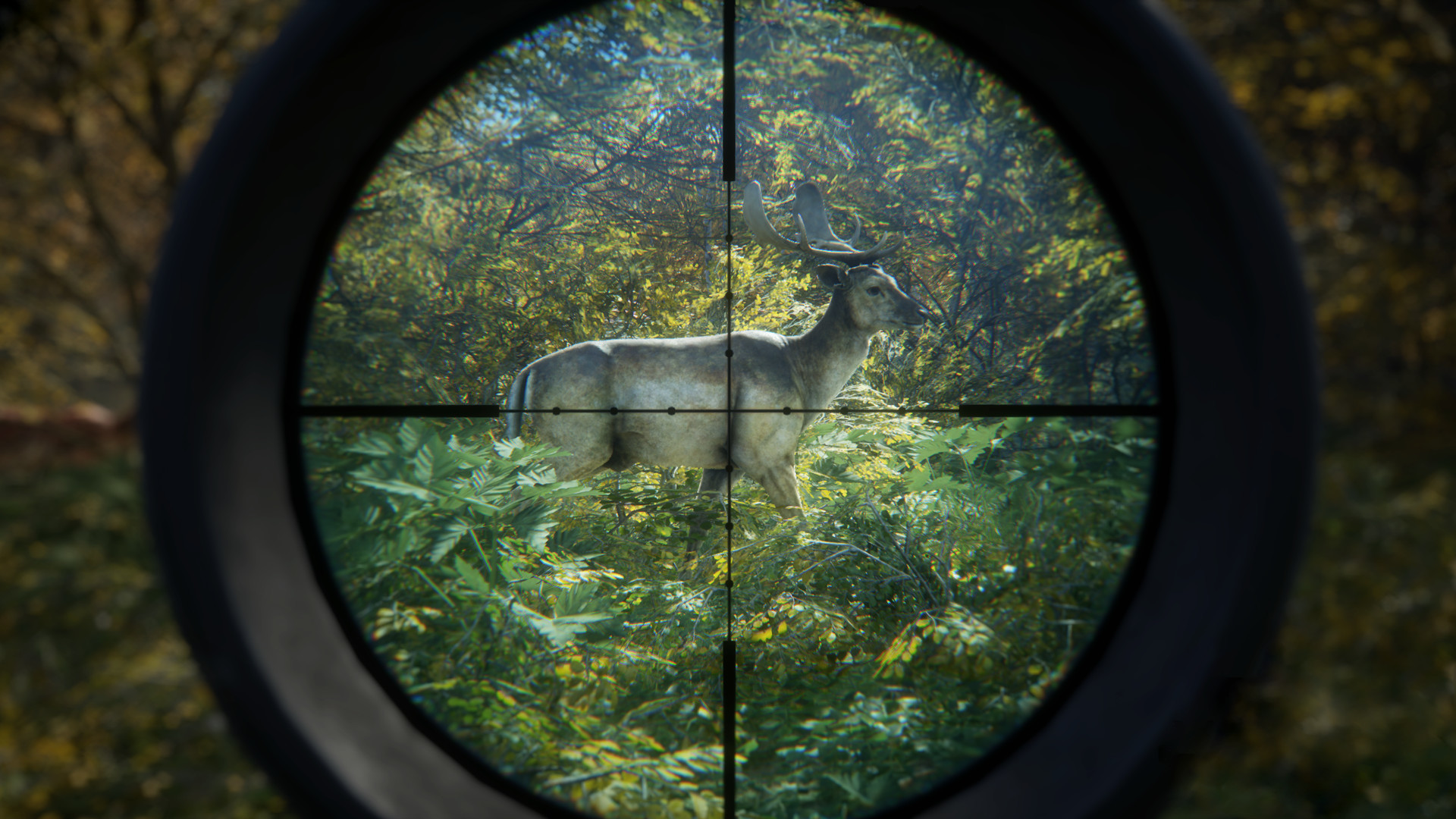 猎人：野性的呼唤/荒野的召唤 theHunter: Call of the Wild_2