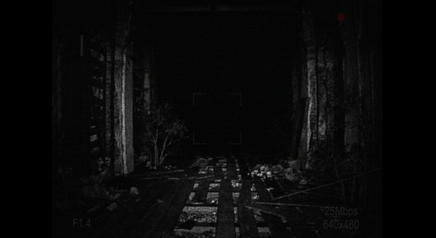 PC游戏《[录制] 荒芜 [REC] Desolation》中文v1.0.4_0