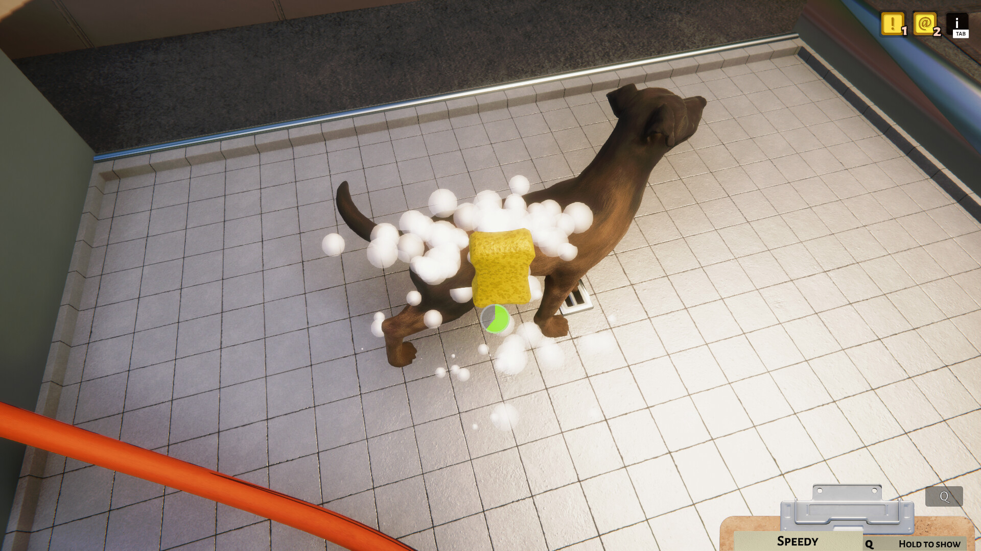 PC游戏《动物收容所 Animal Shelter》中文v1.3.19_0