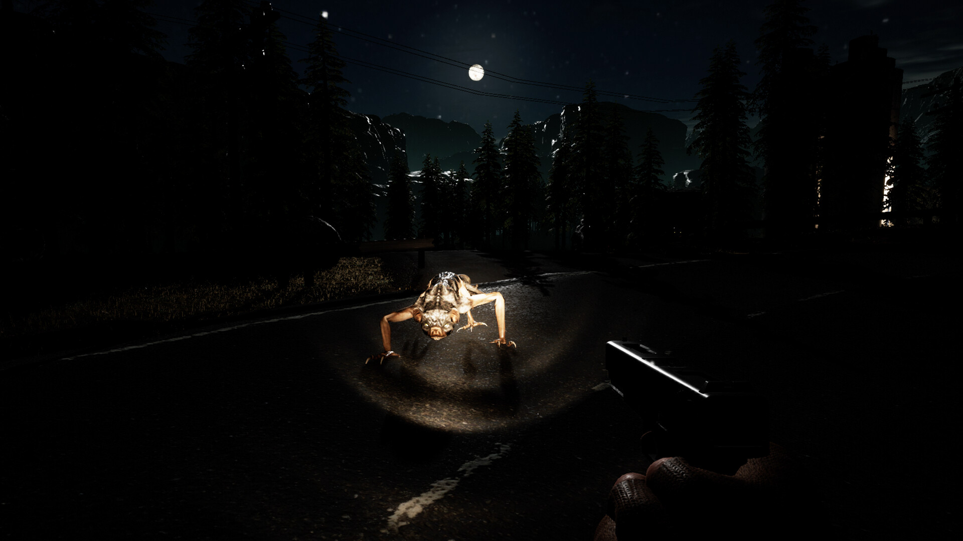 PC游戏《无政府状态： 沃尔夫定律 Anarchy: Wolf’s law》中文v0.9.978.1712_0