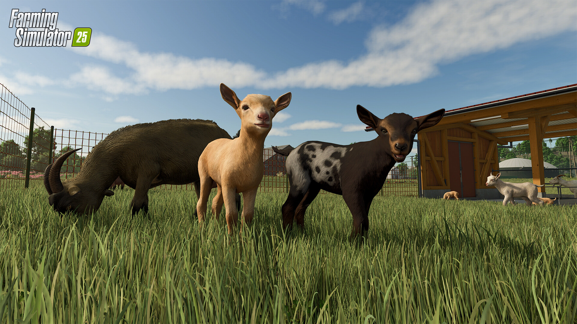 PC游戏《模拟农场25 Farming Simulator 25》中文v1.6.0.0_0