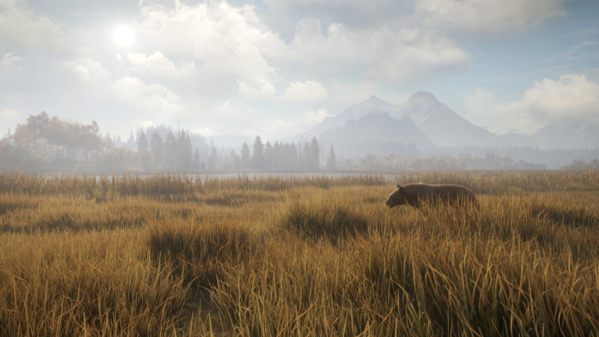 PC游戏《猎人：荒野的召唤 theHunter: Call of the Wild》中文v2903389_0