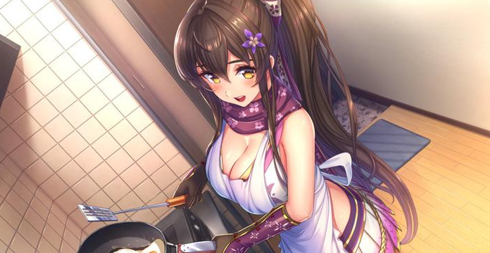 【稀缺资源】switch《和美少女忍者同居的日子 NinNinDays+NinNinDays2》合集中文版下载_0