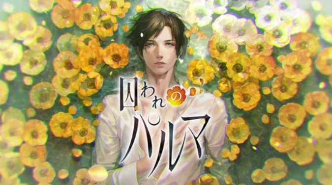 switch游戏《被囚禁的掌心》中文版nsp下载【含补丁+3个DLC】_1