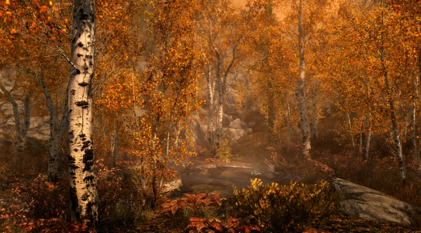 PC游戏《上古卷轴5：周年纪念版 The Elder Scrolls V: Skyrim Special Edition》中文v1.6.1170.0.8_0