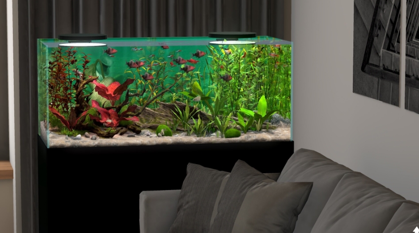 PC游戏《玻璃背后：水族馆模拟器 Behind Glass: Aquarium Simulator》中文v1.1_0