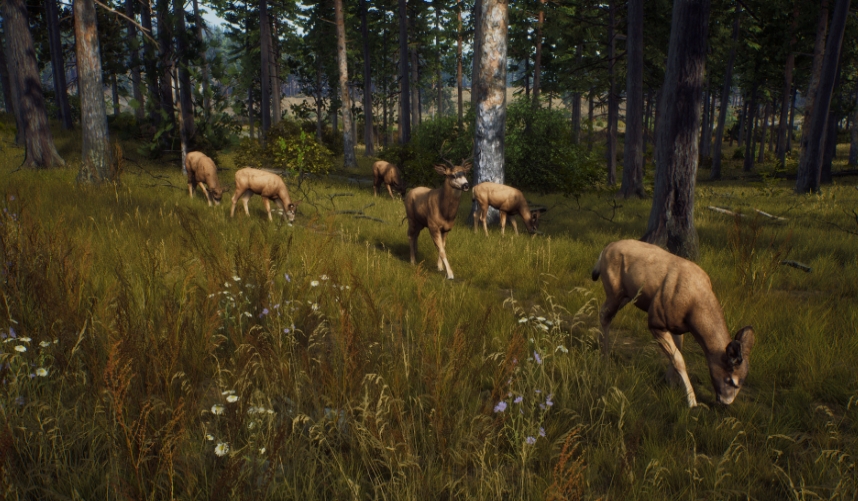 PS5游戏《猎人之路.Way of the Hunter》中文v01.000.000_0