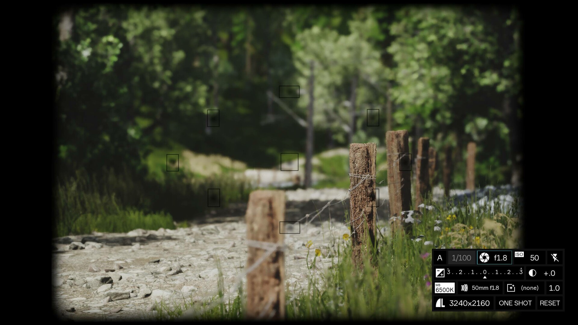 PC游戏《模拟美景摄影/Lushfoil Photography Sim》中文v20250520下载_0