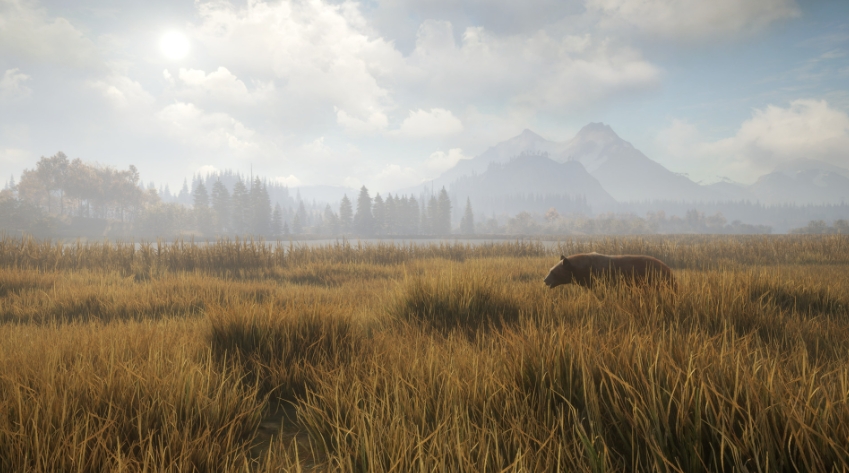 PC游戏《猎人：荒野的召唤 theHunter: Call of the Wild》中文v2989309_0