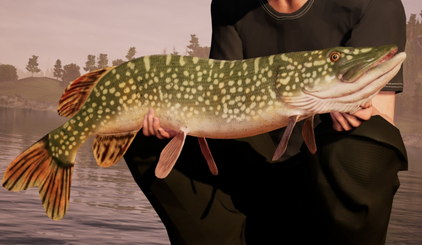【6.72】PS4游戏《钓鱼模拟世界.Fishing Sim World》英文v1.24下载_0
