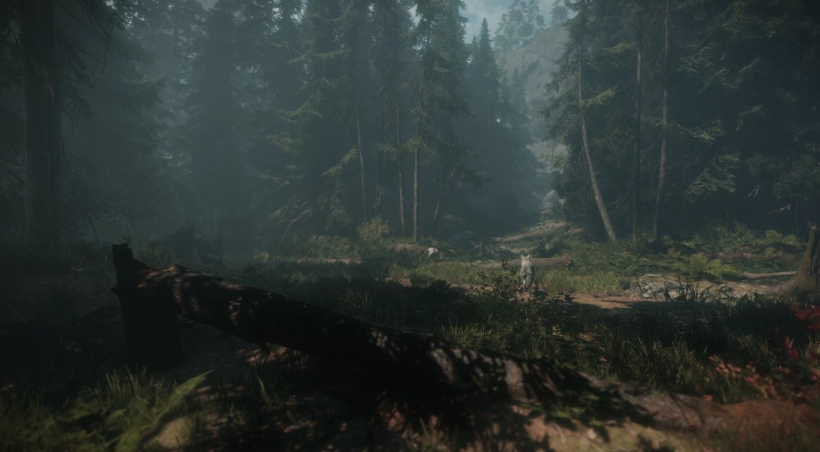 【5.05】PS4游戏《斯盖尔之女.Maid of Sker》中文v1.07下载_1