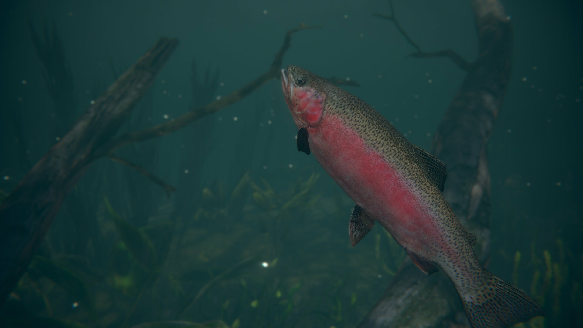 PC游戏《终极钓鱼模拟器2/Ultimate Fishing Simulator 2》中文v1.25.06.16下载_1
