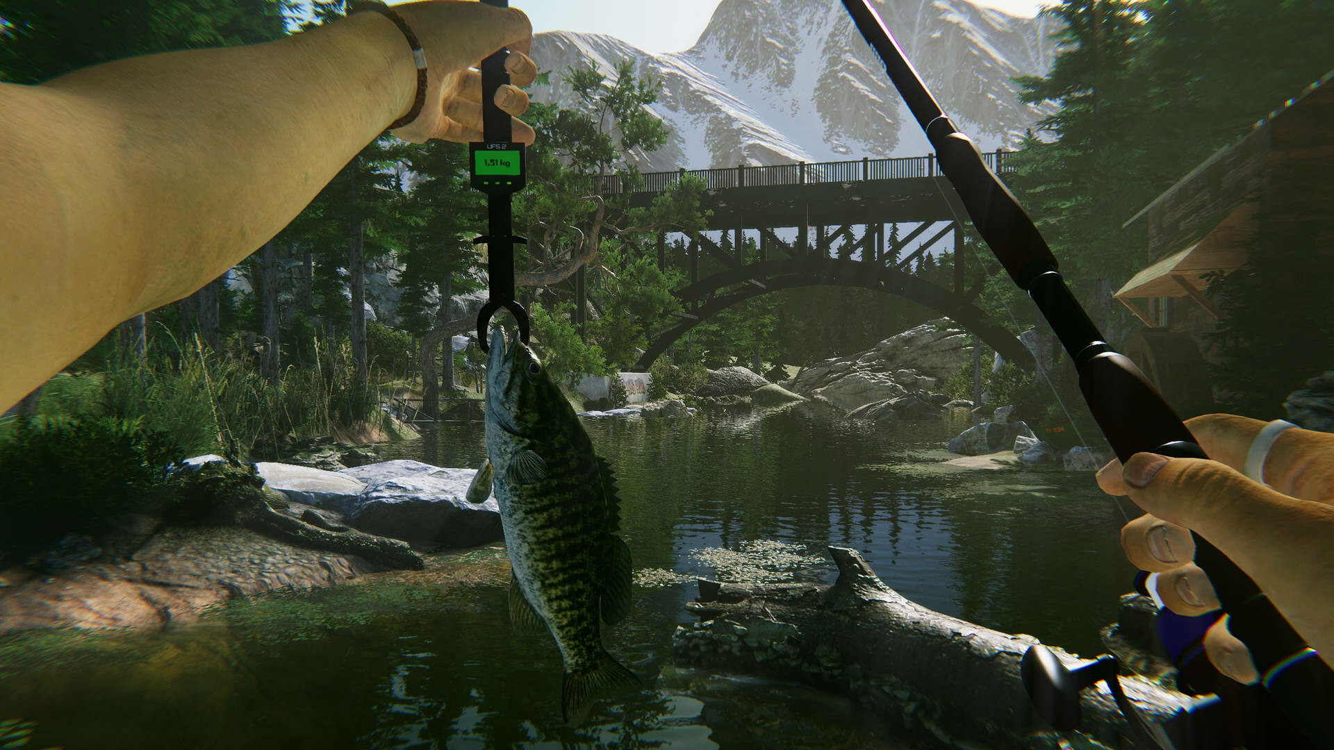PC游戏《终极钓鱼模拟器2/Ultimate Fishing Simulator 2》中文v1.25.06.16下载_0