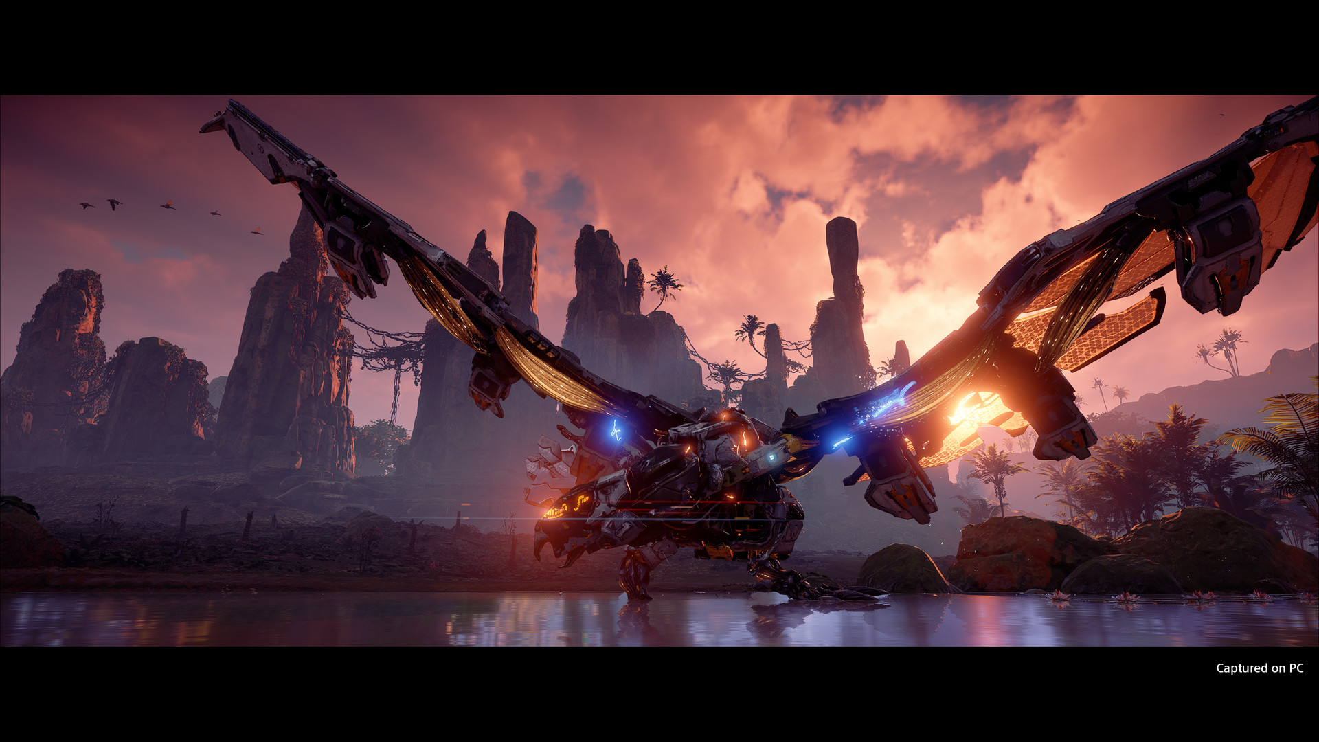 PC游戏《地平线：零之曙光完全版/Horizon Zero Dawn Complete Edition》中文v1.0.11.14完全版下载_1