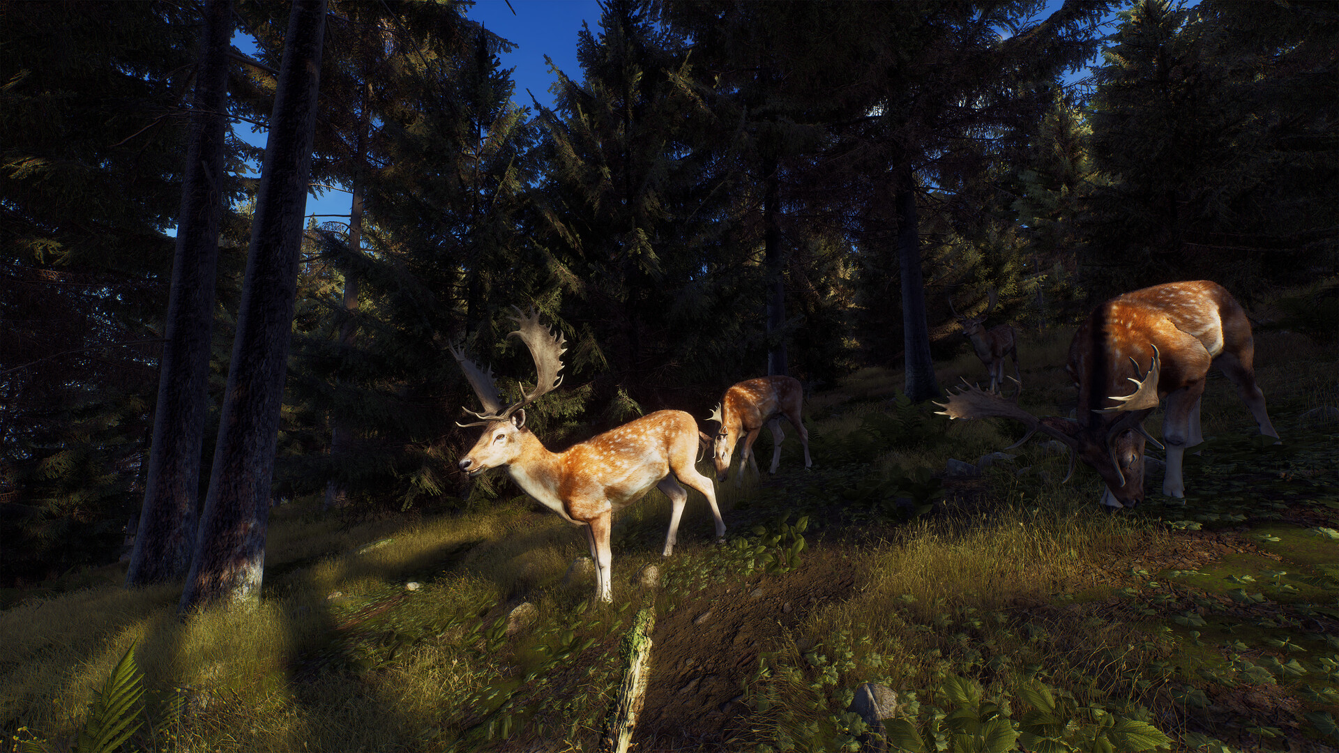 PC游戏《猎人之路/Way of the Hunter》中文v1.24.3.111349联机版下载_0