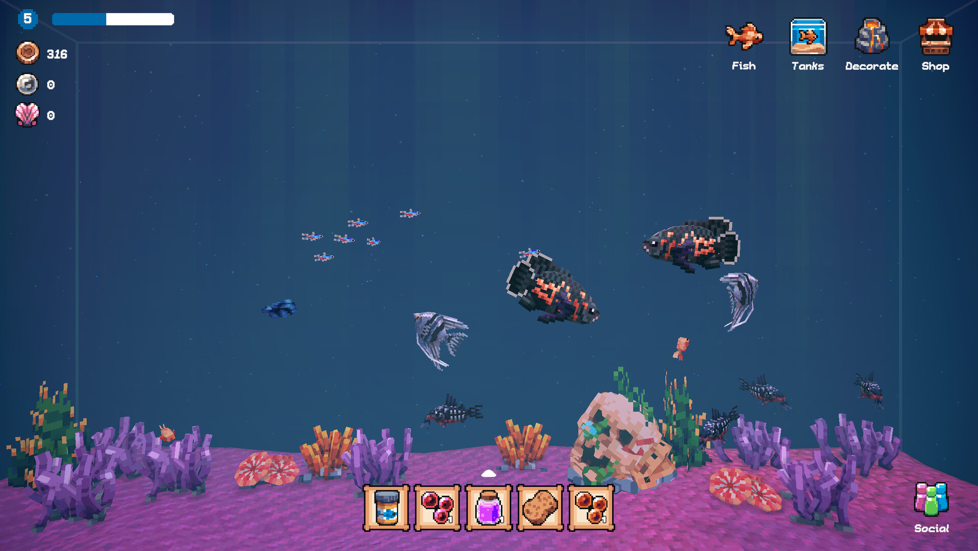 PC游戏《全球鱼友俱乐部：放置好时光/Tiny Aquarium: Social Fishkeeping》中文v1.0.0下载_0