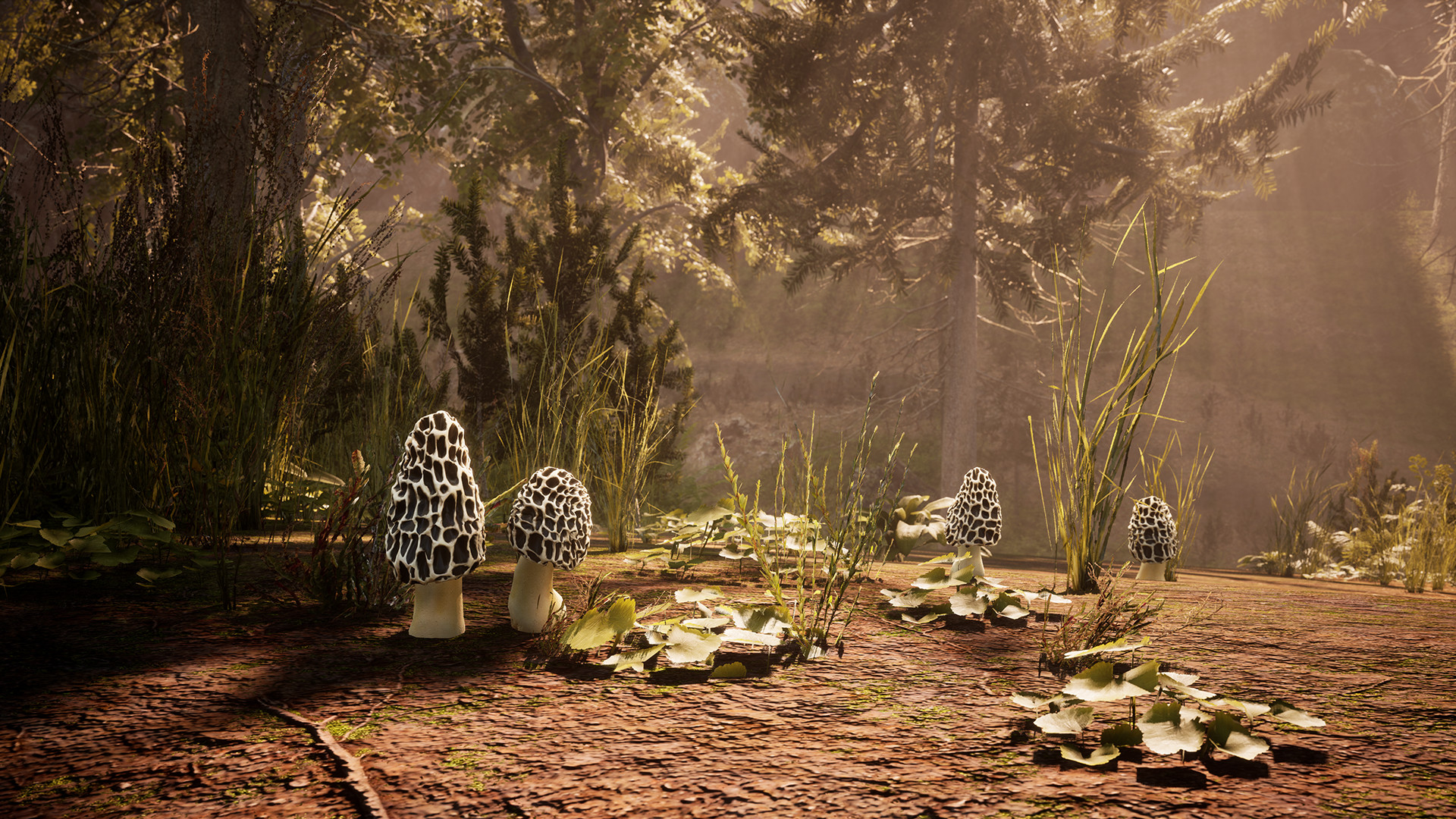 PC游戏《羊肚菌：狩猎/Morels: The Hunt》中文+Build.12226474下载_0