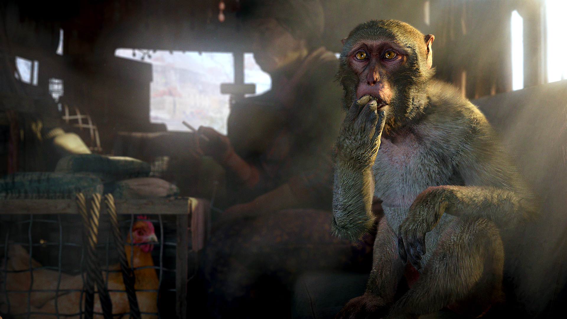 PC游戏《孤岛惊魂4/Far Cry 4》中文v20250404下载_3