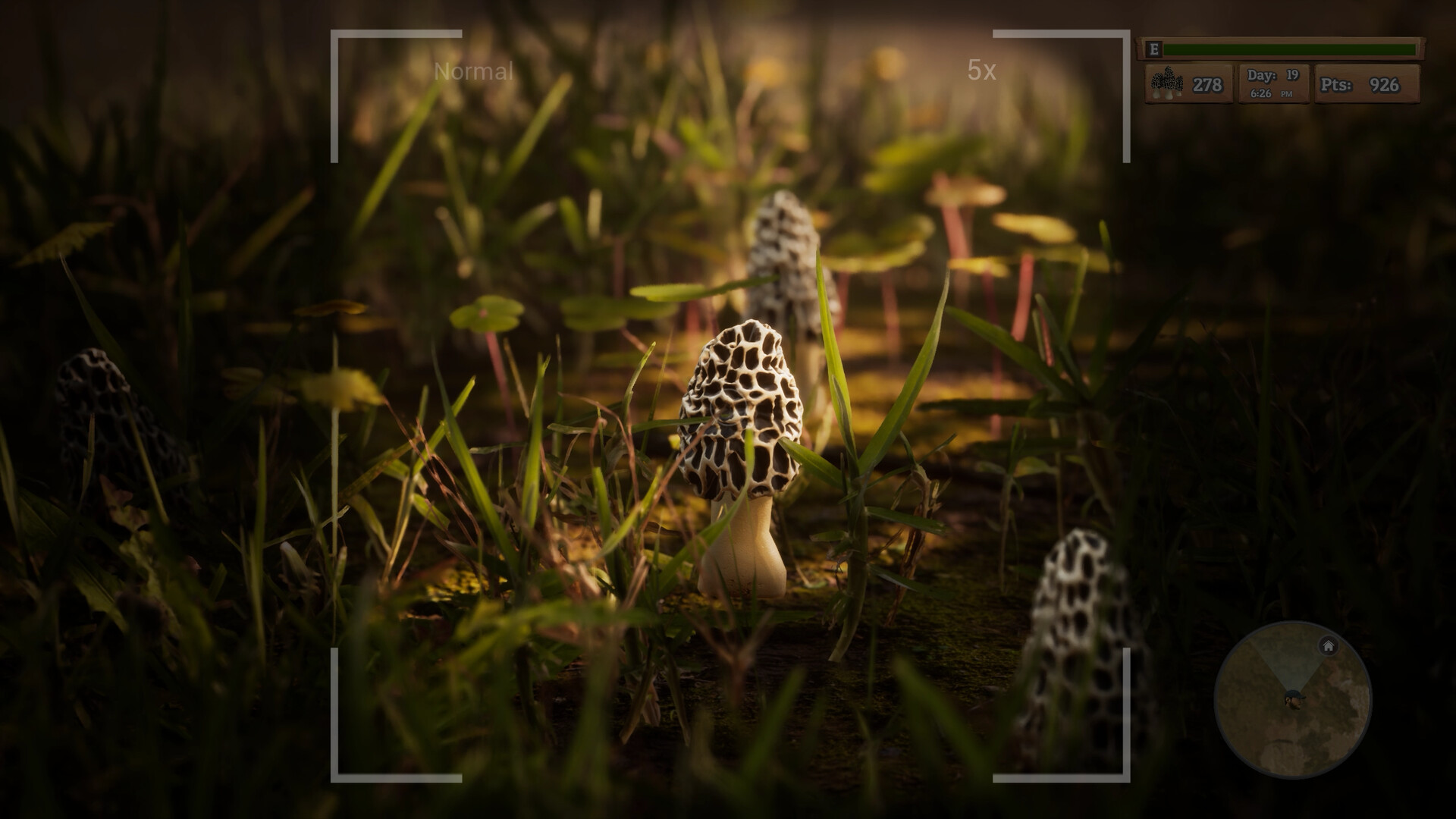 PC游戏《羊肚菌：狩猎/Morels: The Hunt》中文+Build.15781103下载_1