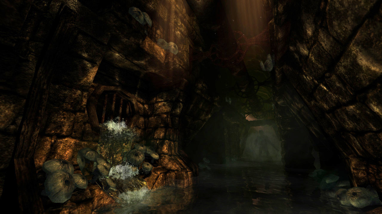PC游戏《失忆症：黑暗后裔/Amnesia: The Dark Descent》中文v1.41b下载_1