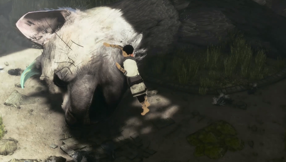 【5.05】PS4游戏《最后的守护者.The Last Guardian》中文1.03下载_0