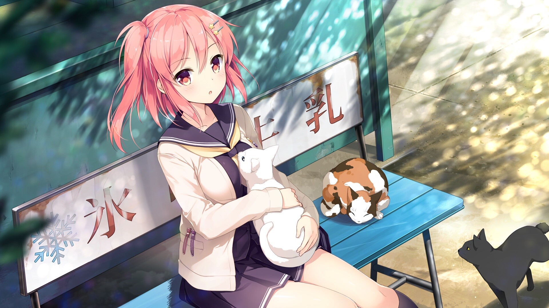 PC游戏《想要传达给你的爱恋/Koi x Shin Ai Kanojo》中文+Build.12782662下载_0