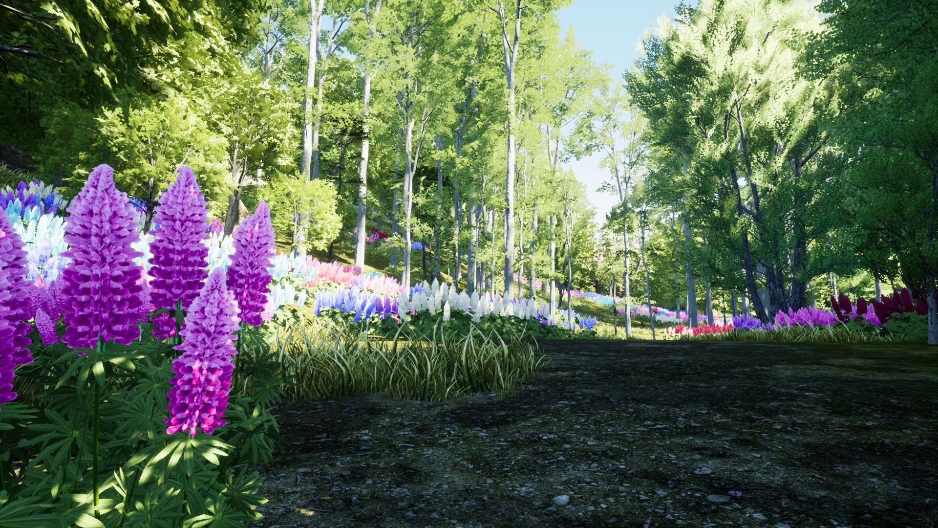PC游戏《自然猎人/Nature Hunter》中文+Build.11314731下载_1