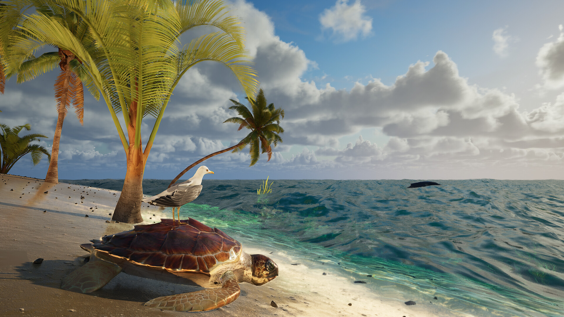 PC游戏《伊甸岛/Eden Island》中文v1.0下载_0