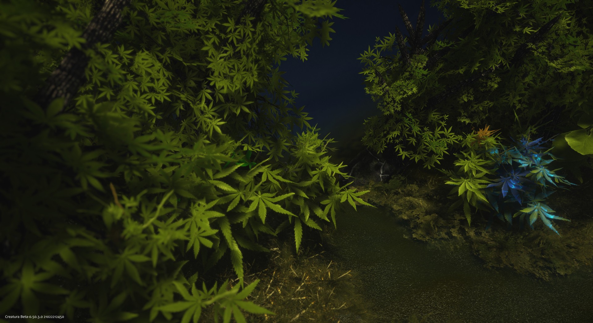 PC游戏《Creatura》中文+Build.8644735下载_1
