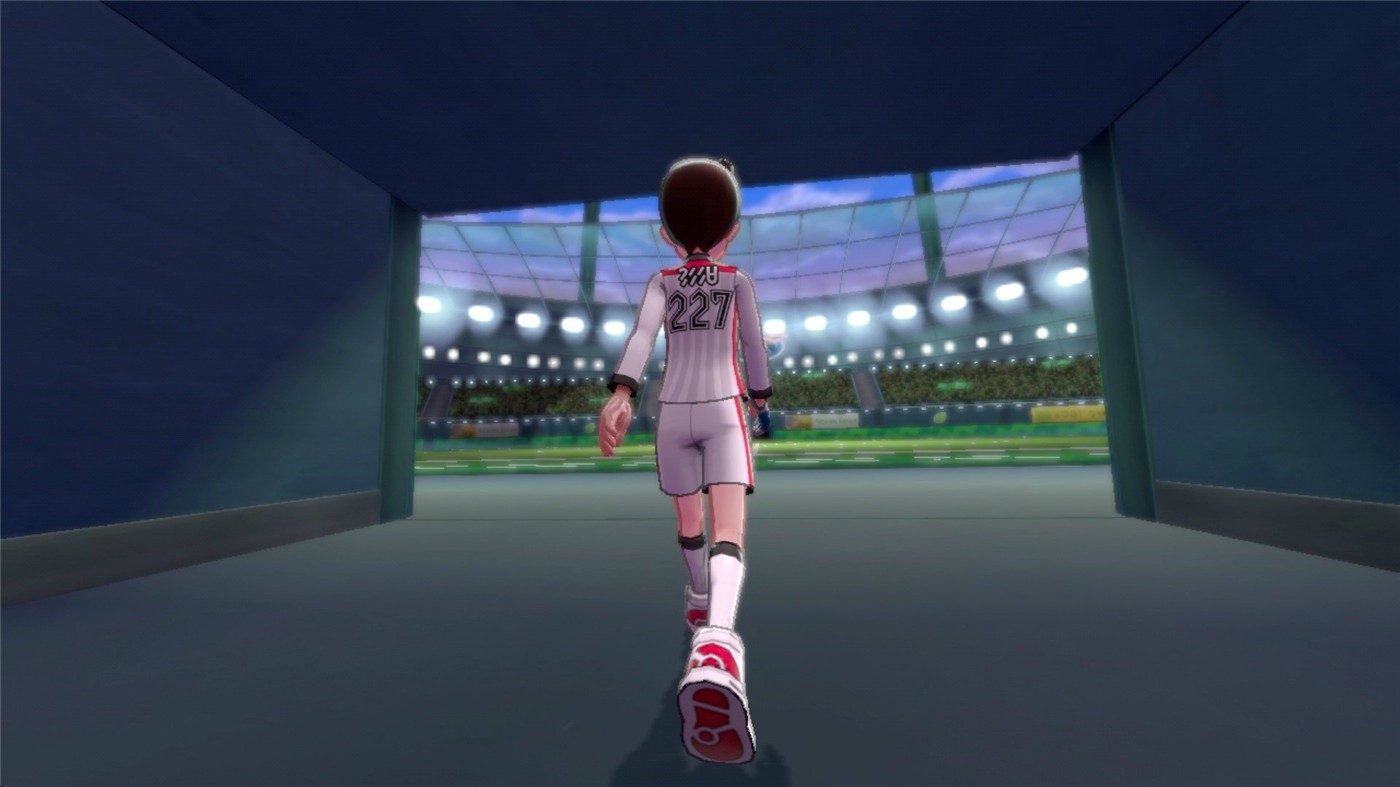 PC游戏《精灵宝可梦剑盾/Pokemon Sword Shield》中文v1.3.0_yuzu750下载_1