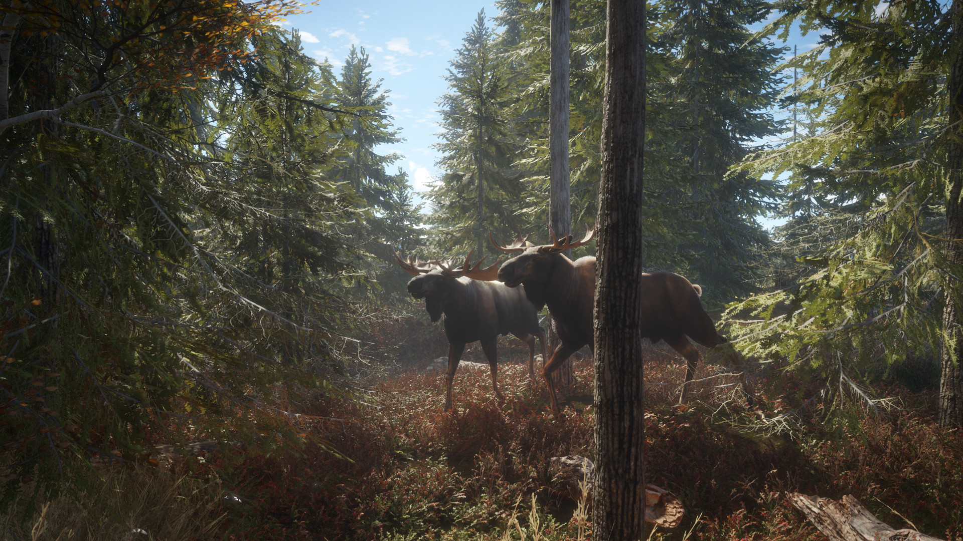 《猎人：荒野的召唤/theHunter: Call of the Wild》PC中文版下载-含v3054373_1